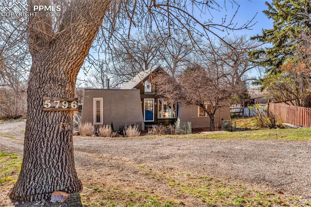 a street view with large trees
