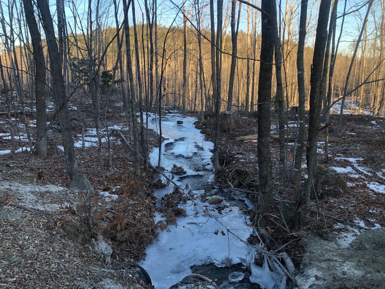 L25 Canton Mountain Road Jay, ME 04239 - Photo 4 of 25 IMG_7996