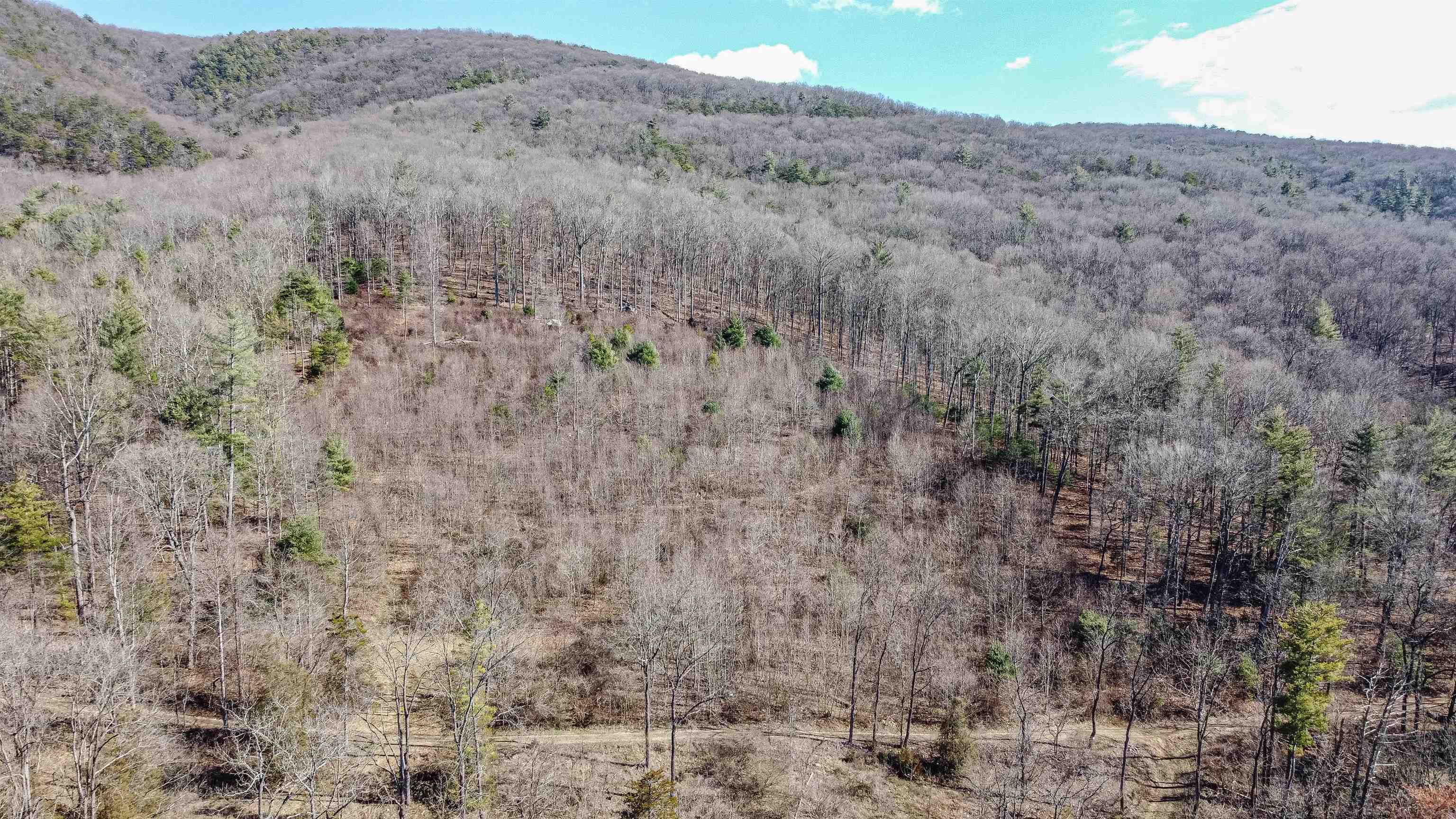 Tbd Rocky Ridge Lane Fulks Run, VA 22830 - Photo 2 of 10 a view of a dry field