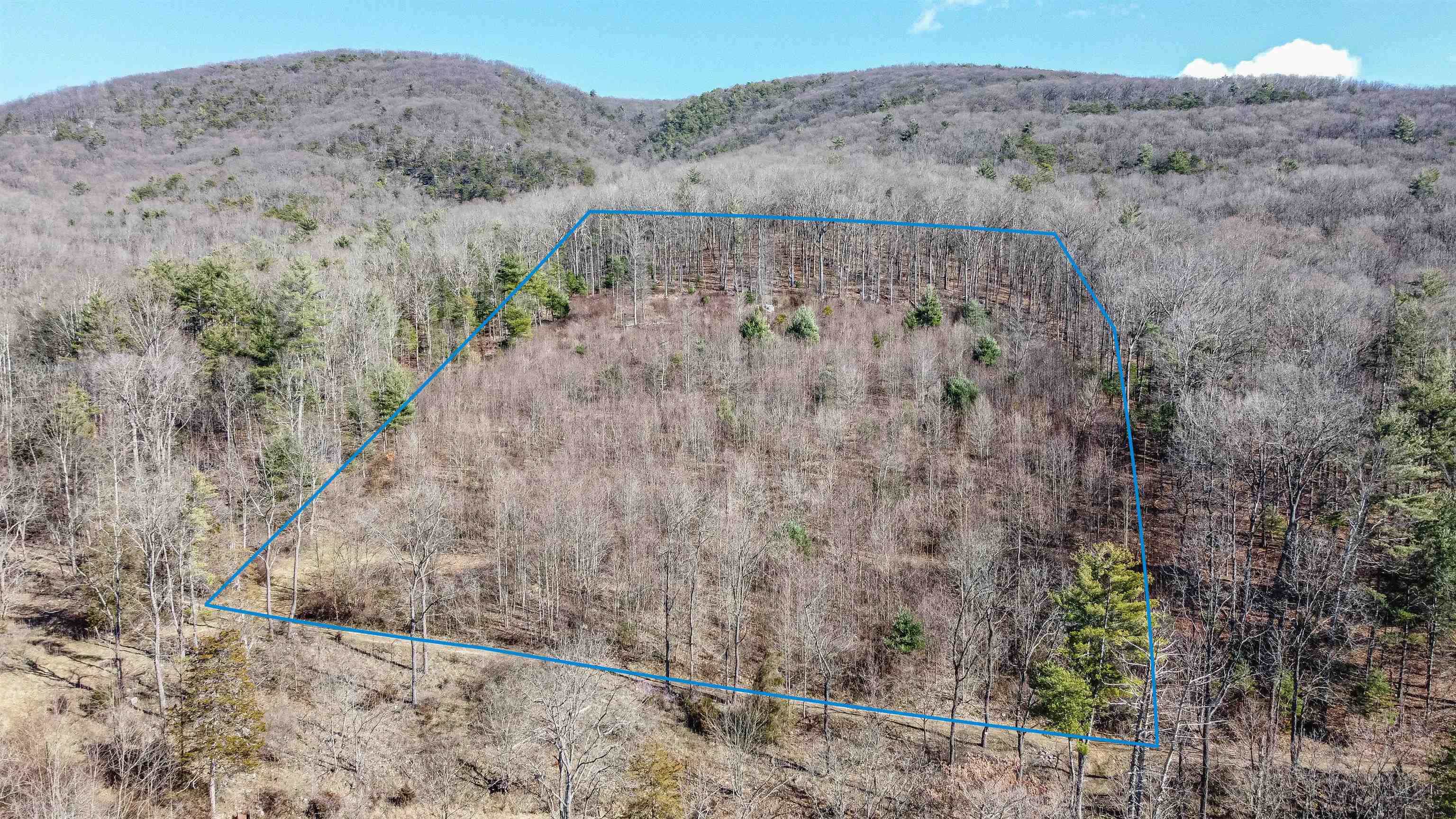 Tbd Rocky Ridge Lane Fulks Run, VA 22830 - Photo 4 of 10 a view of a dry field with trees in the background