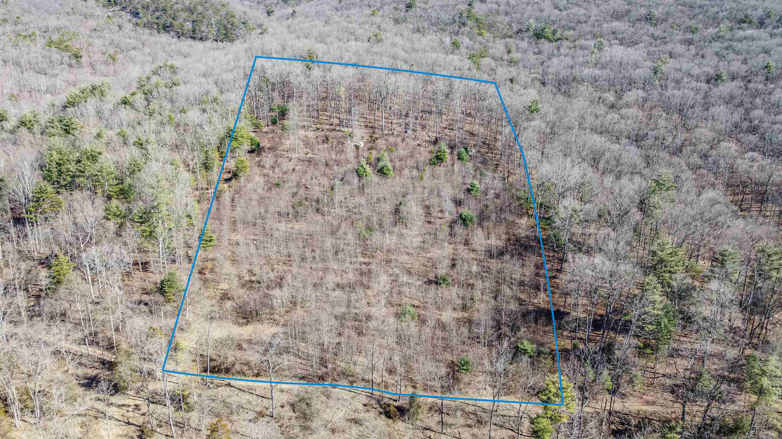 Tbd Rocky Ridge Lane Fulks Run, VA 22830 - Photo 5 of 10 a close up of a shower in a bathroom