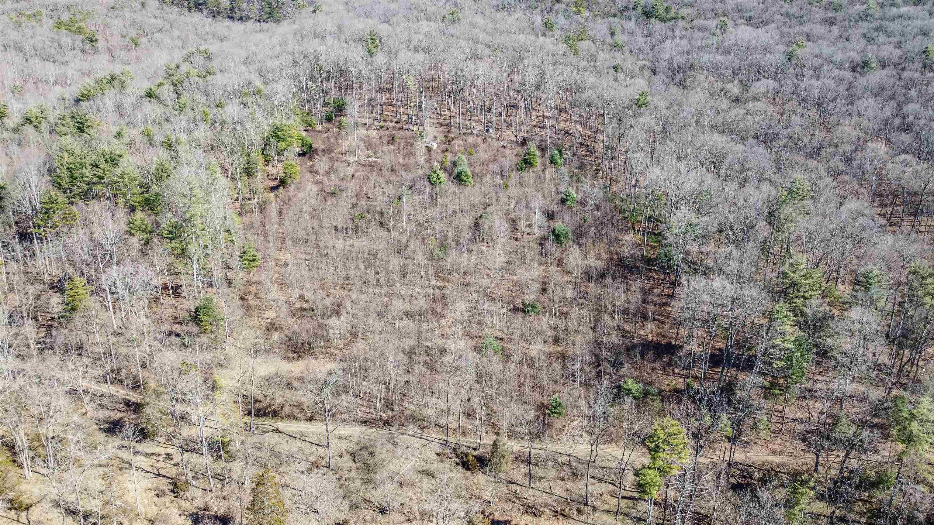 Tbd Rocky Ridge Lane Fulks Run, VA 22830 - Photo 6 of 10 a close up of a wall with a dry yard