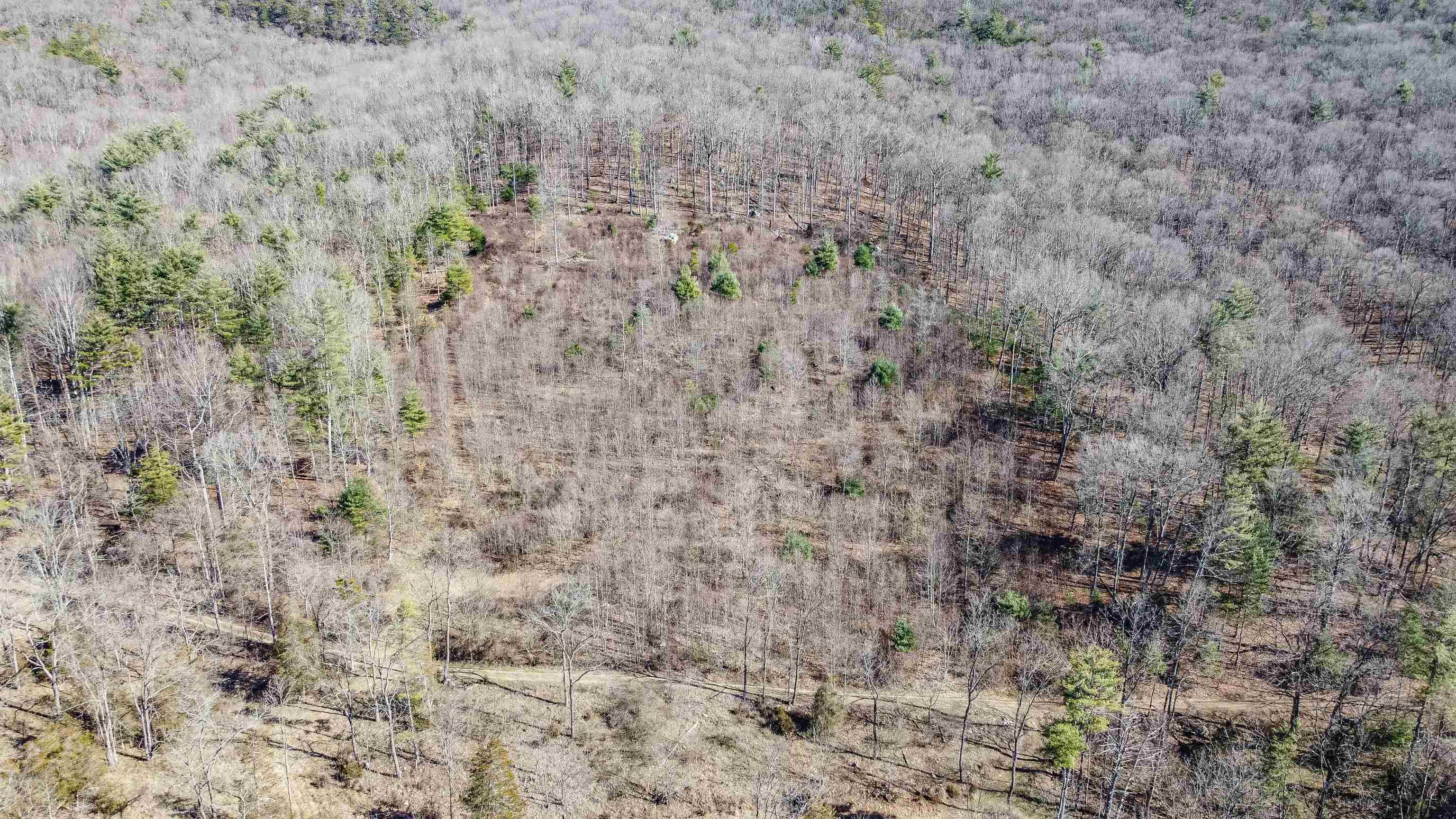 Tbd Rocky Ridge Lane Fulks Run, VA 22830 - Photo 8 of 10 a close up of a wall