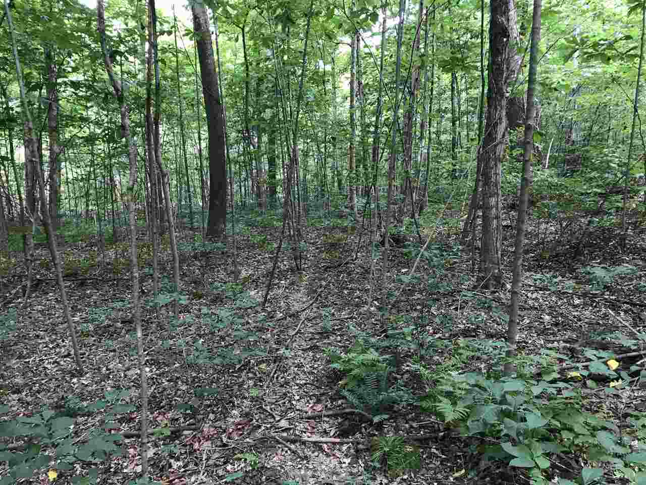 0 North Phillips Bank Road Birdseye, IN 47513 - Photo 14 of 17