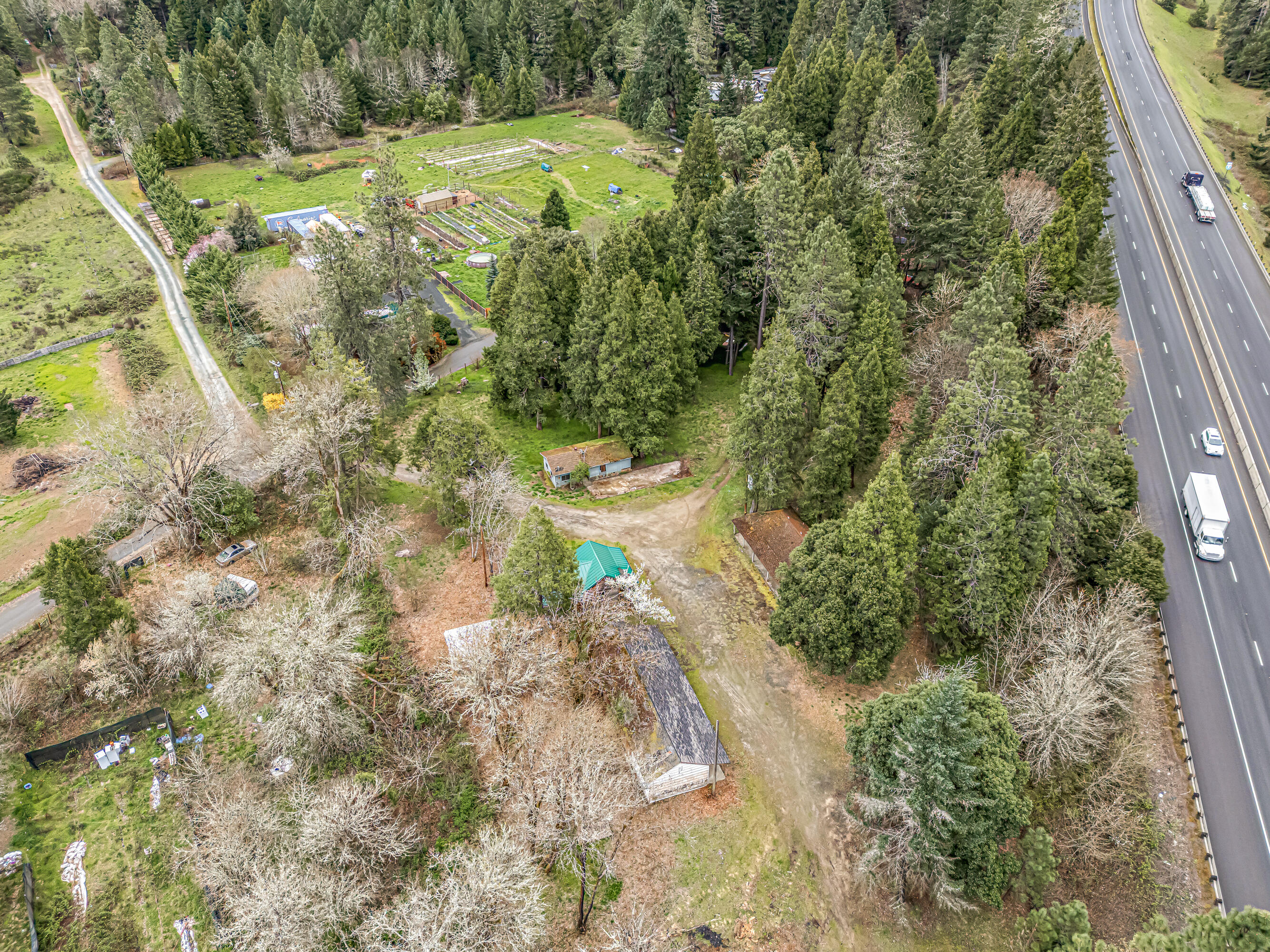 159 Bloom Road Wolf Creek, OR 97497 - Photo 32 of 38 a view of a yard with plants and large trees