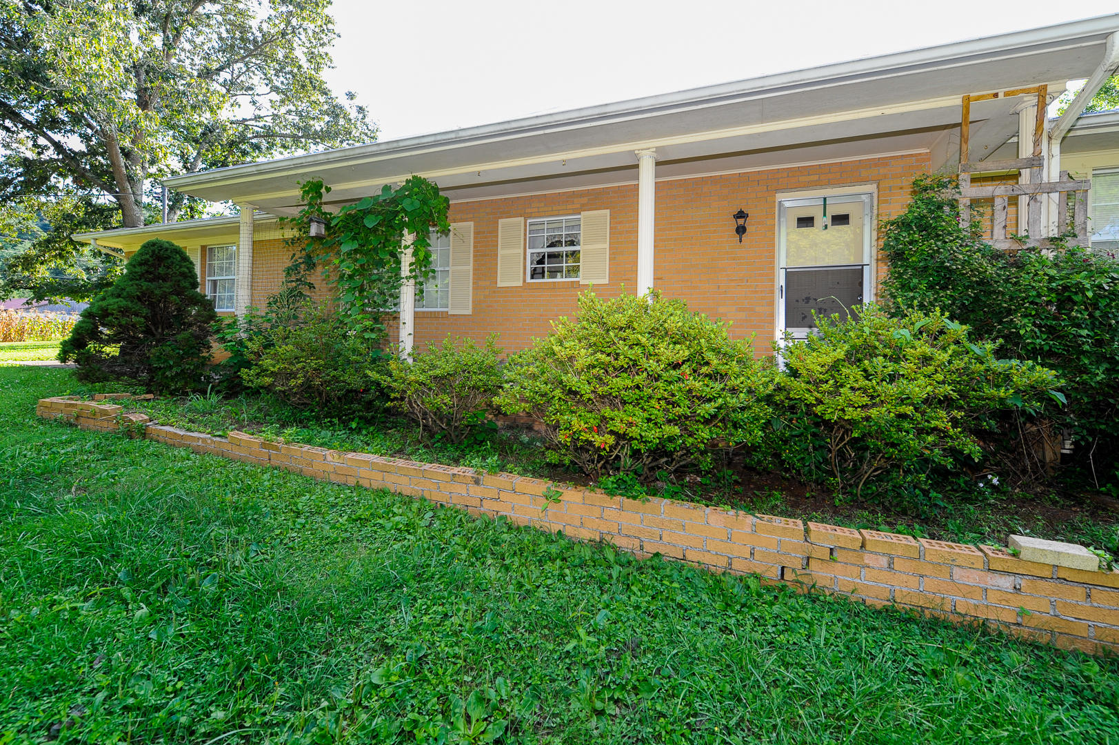 4345 Sevier County Line Road Strawberry Plains, TN 37871 - Photo 12 of 25 _DSC6666