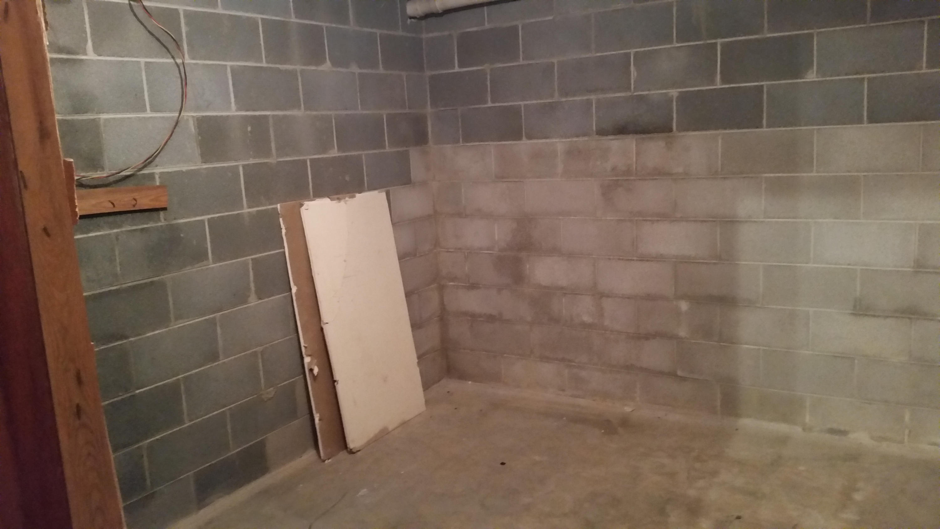 4345 Sevier County Line Road Strawberry Plains, TN 37871 - Photo 4 of 25 Storage Basement