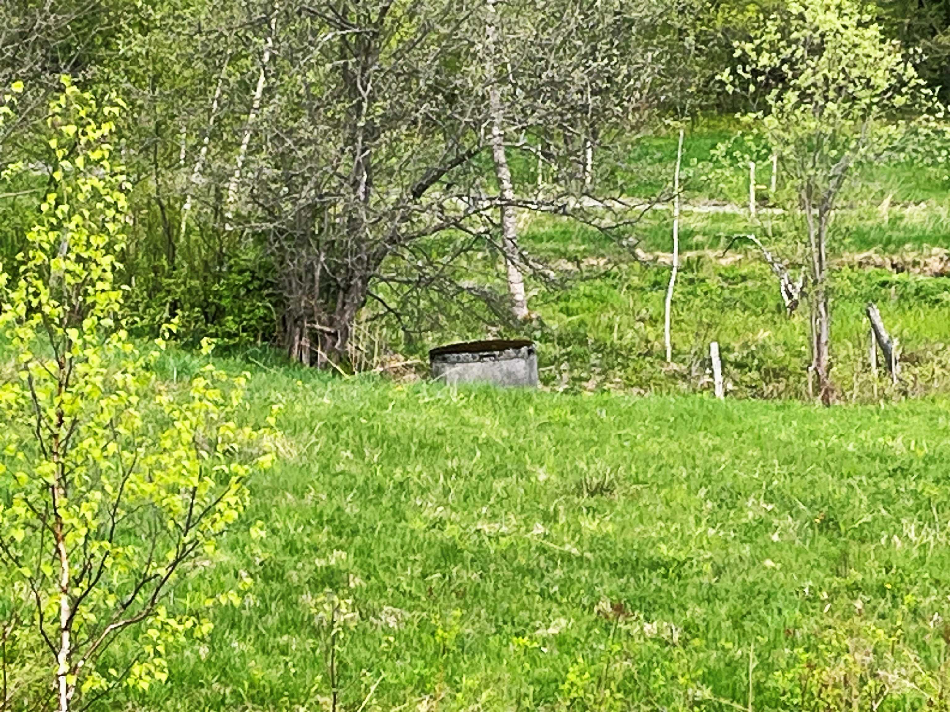 825 Centebar Road Barton, VT 05875 - Photo 20 of 23