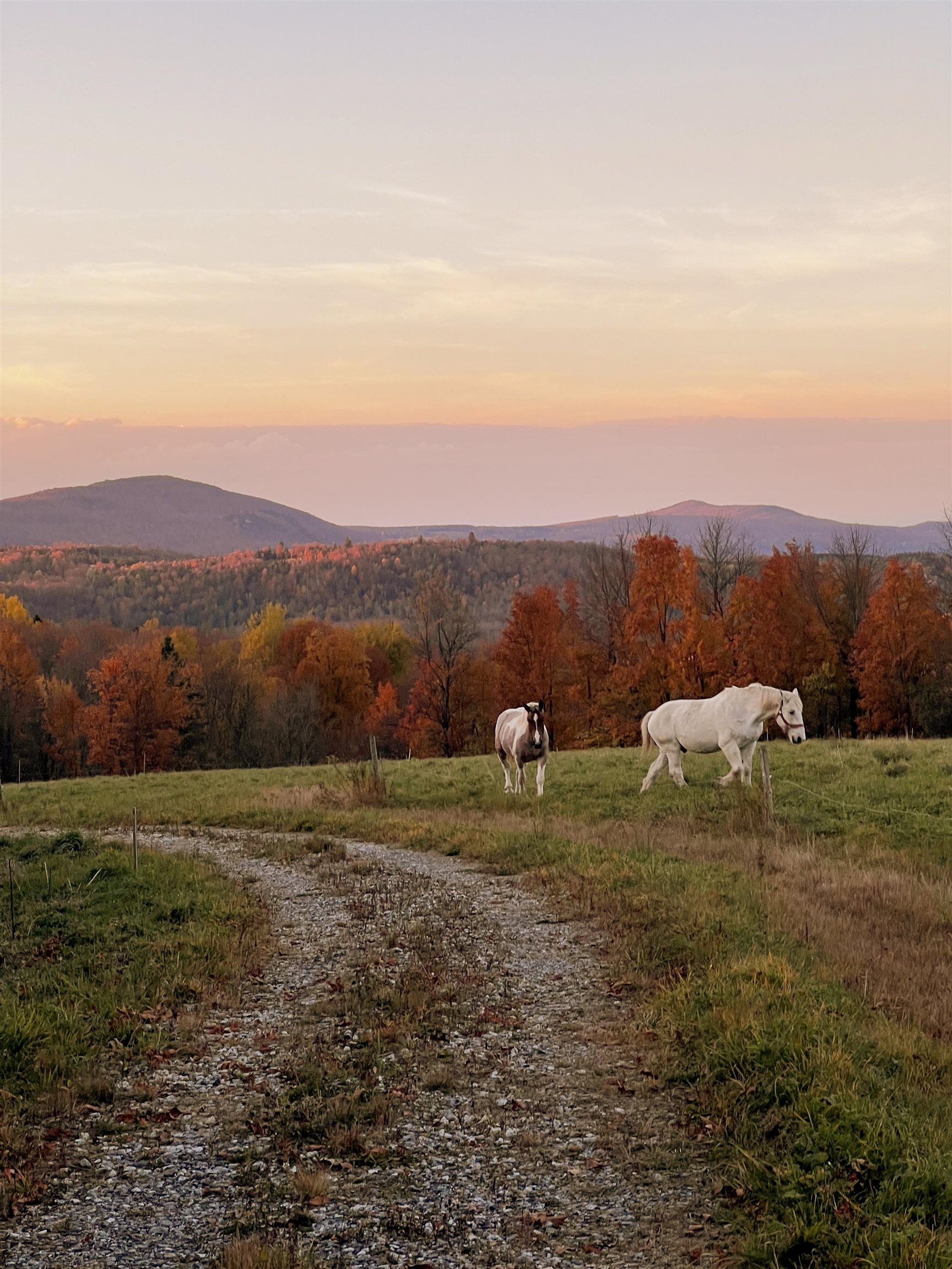 825 Centebar Road Barton, VT 05875 - Photo 21 of 23
