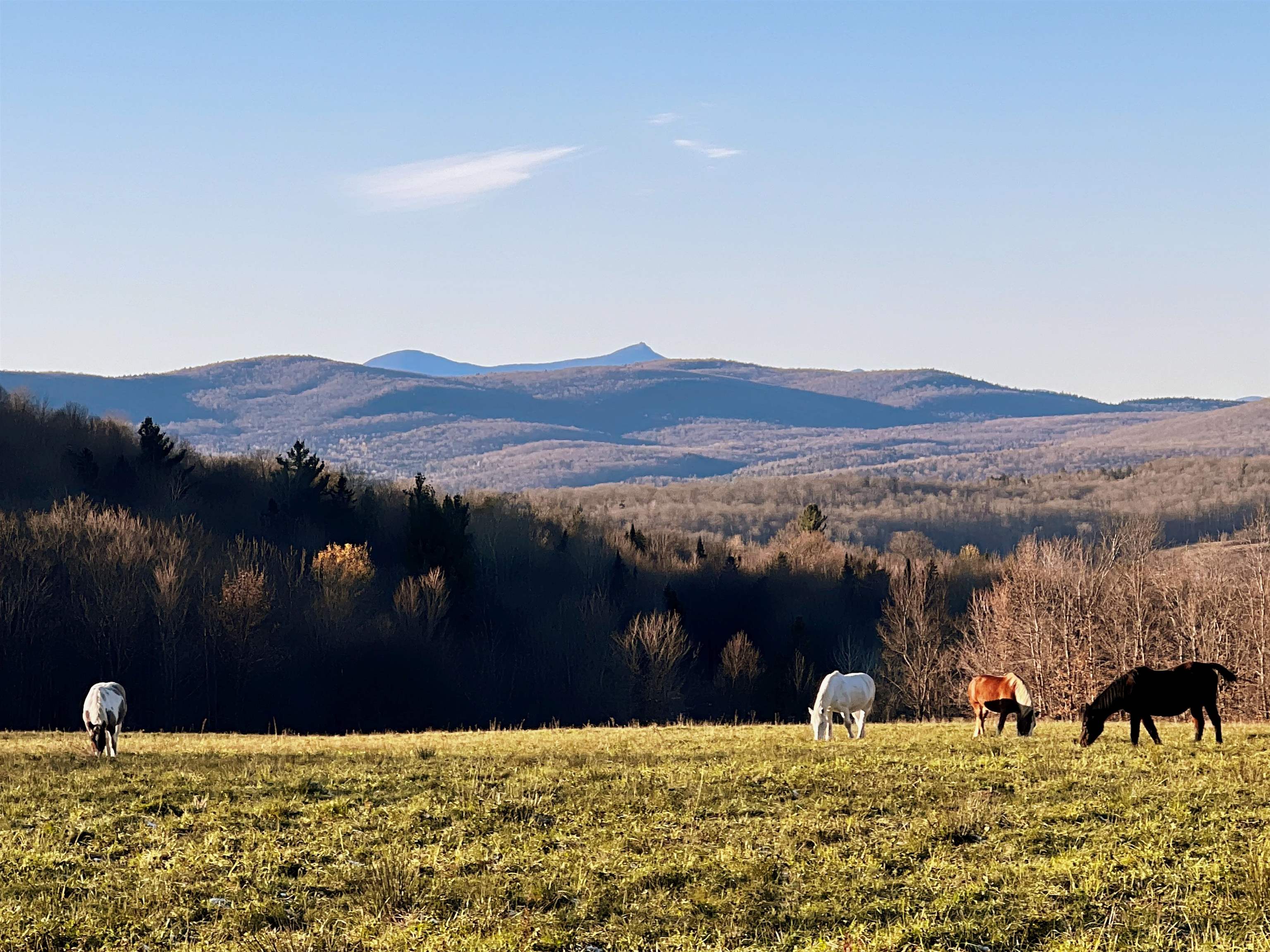 825 Centebar Road Barton, VT 05875 - Photo 22 of 23