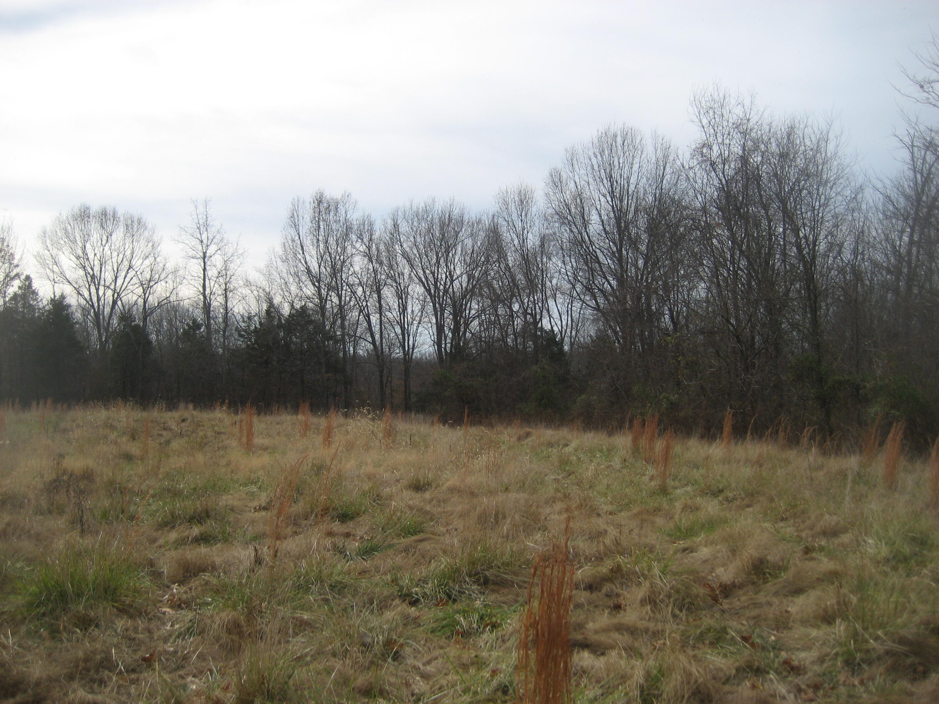 1234 Prather Ridge Road Willisburg, KY 40078 - Photo 8 of 16 IMG_0367