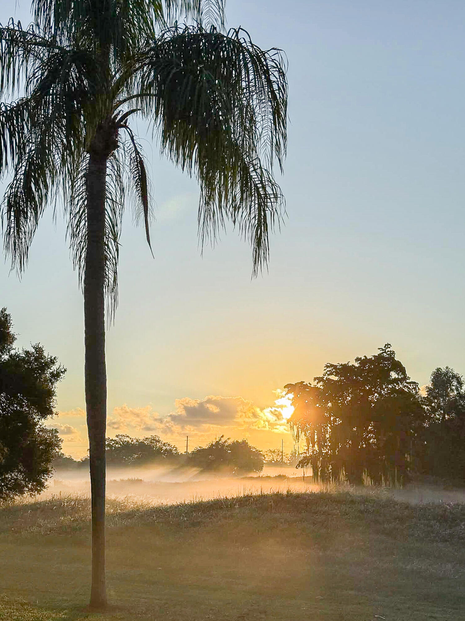 5523 Constant Spring Terrace, Unit 222 Lauderhill, FL 33319 - Photo 39 of 60 a view of ocean view