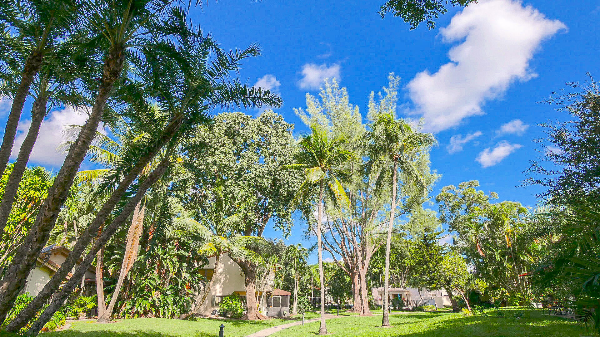 5523 Constant Spring Terrace, Unit 222 Lauderhill, FL 33319 - Photo 45 of 60 P1060434