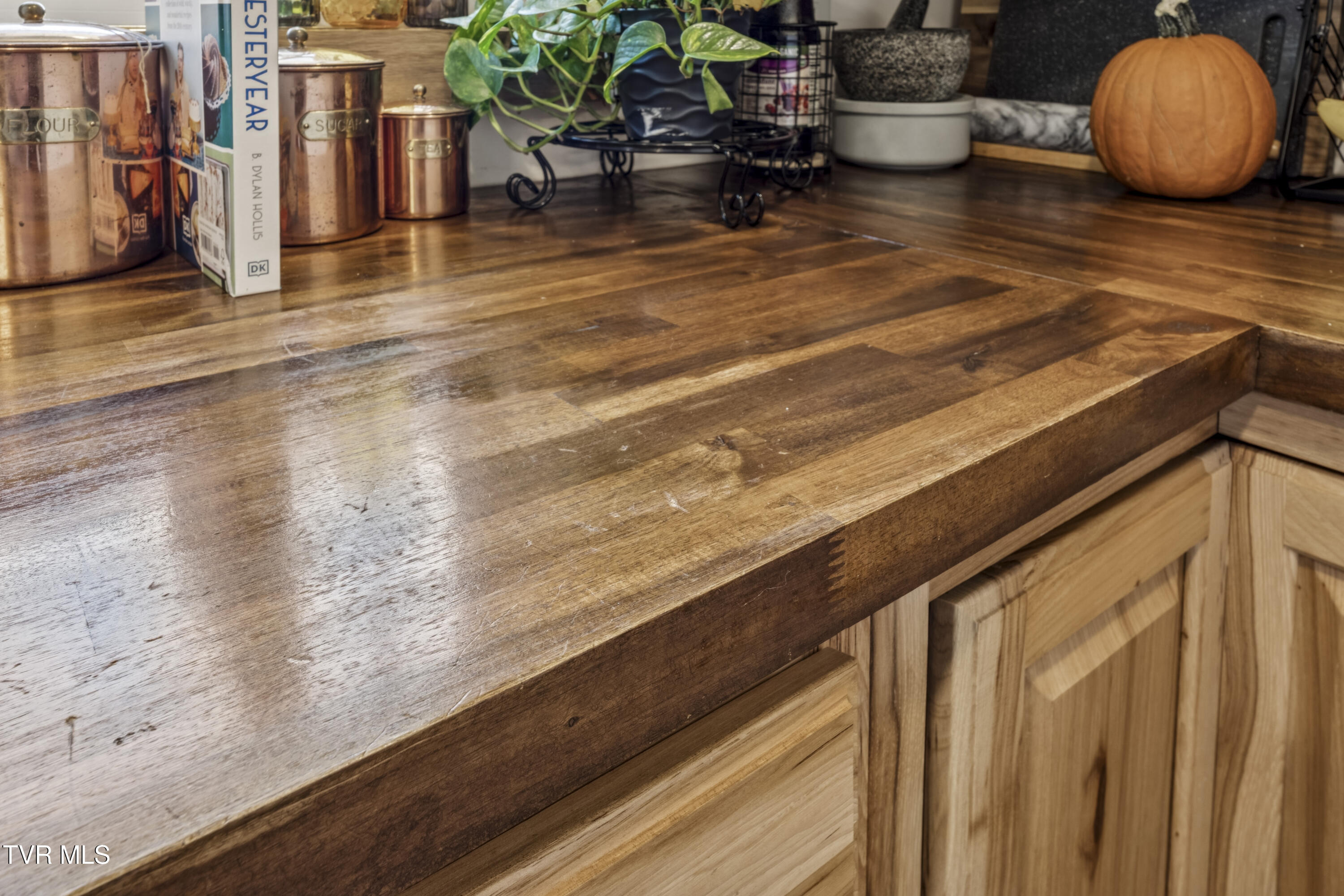 4420 Cherokee Road Jonesborough, TN 37659 - Photo 16 of 40 CherokeeRd--6