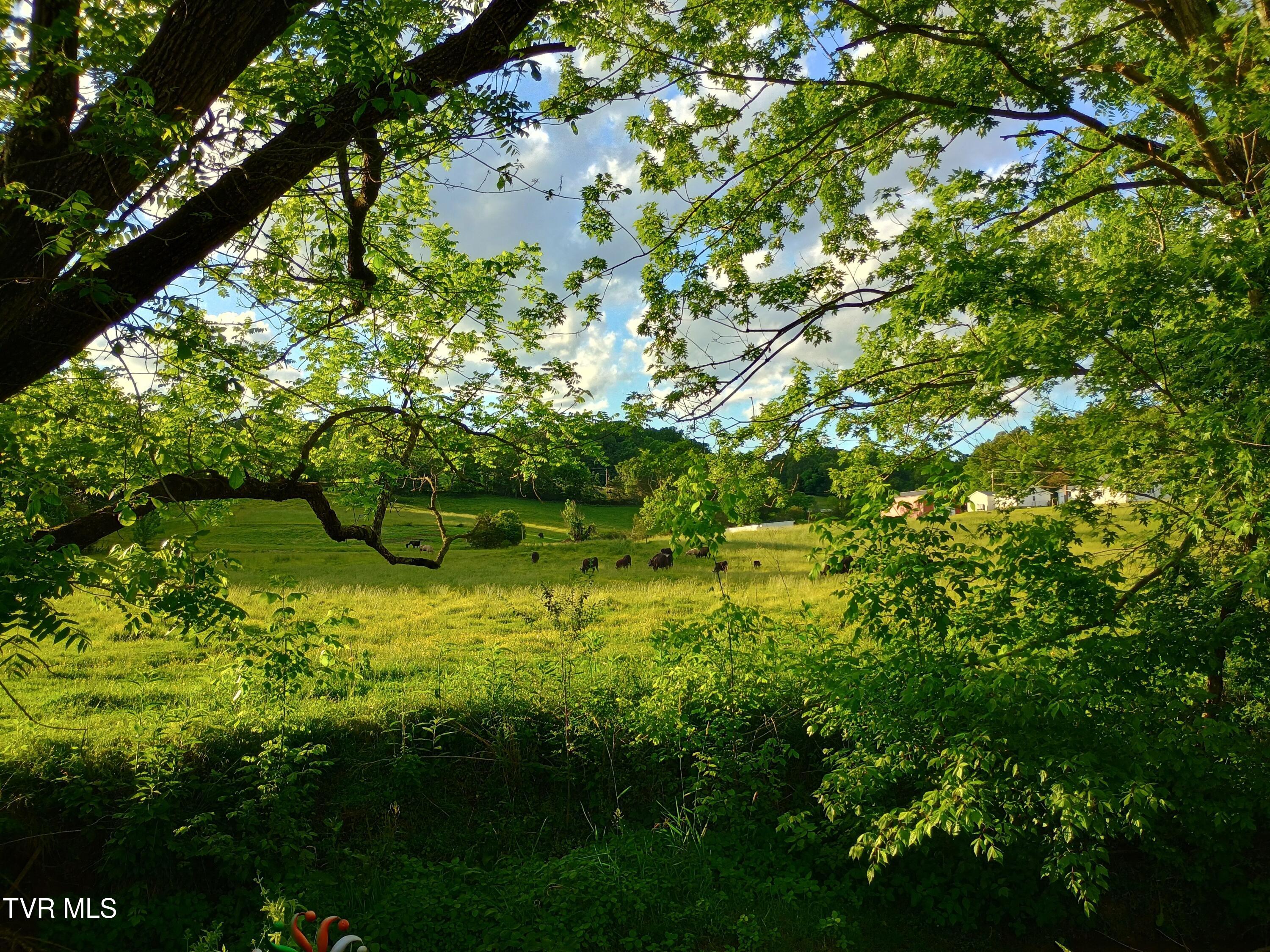 4420 Cherokee Road Jonesborough, TN 37659 - Photo 37 of 40 1000000961