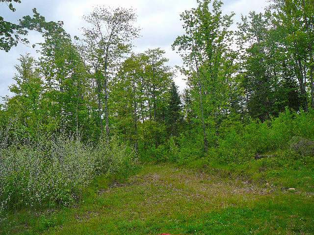 75911 Bear Lake Road Butternut, WI 54514 - Photo 16 of 16 Gallery Image 16