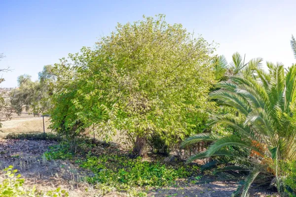 $429,900 | 230 Hoover Street, Oceanside, CA 92054