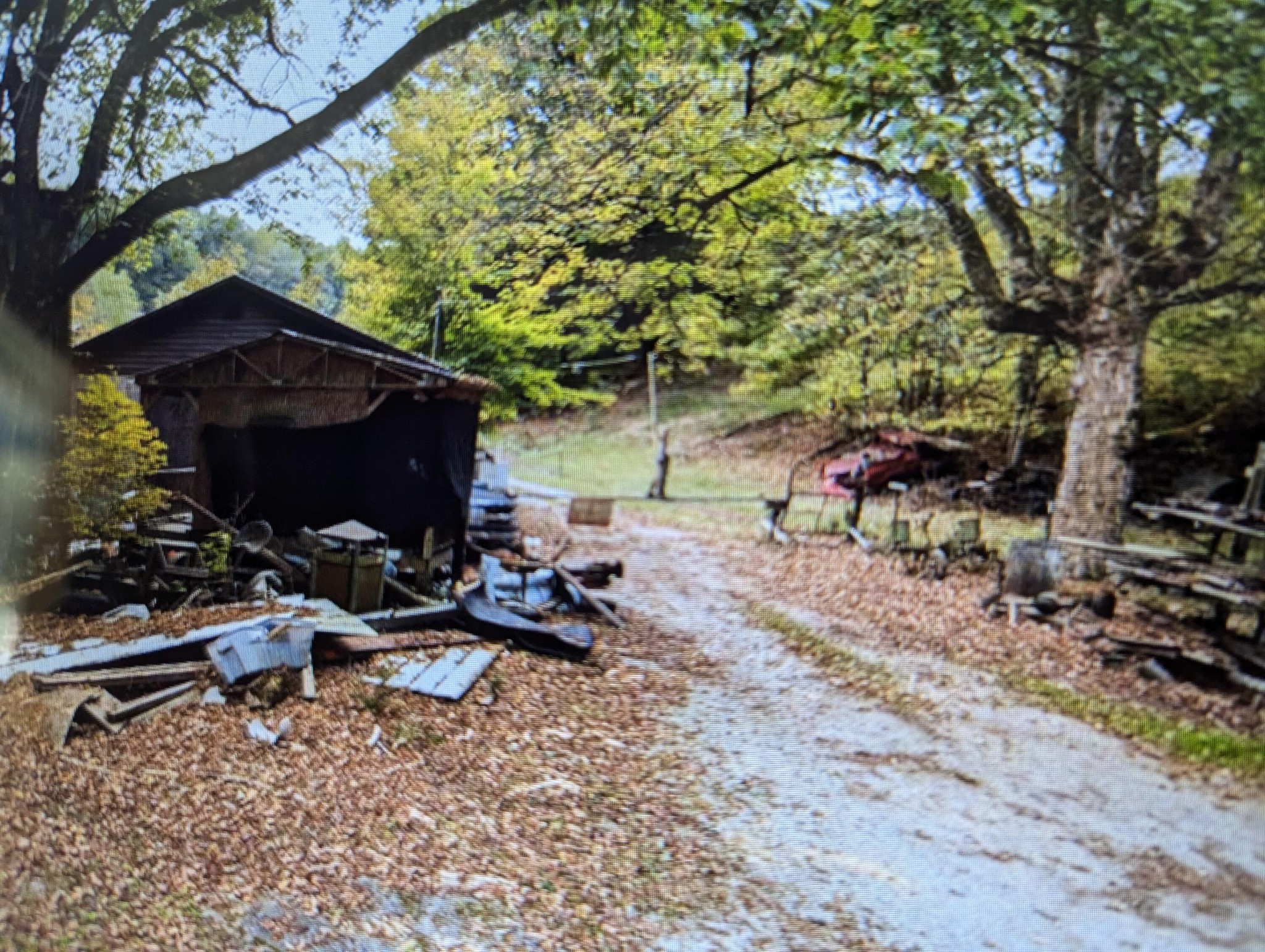 0 Bower Hollow Road Luttrell, TN 37779 - Photo 3 of 4 a view of backyard with wooden fence and a large tree