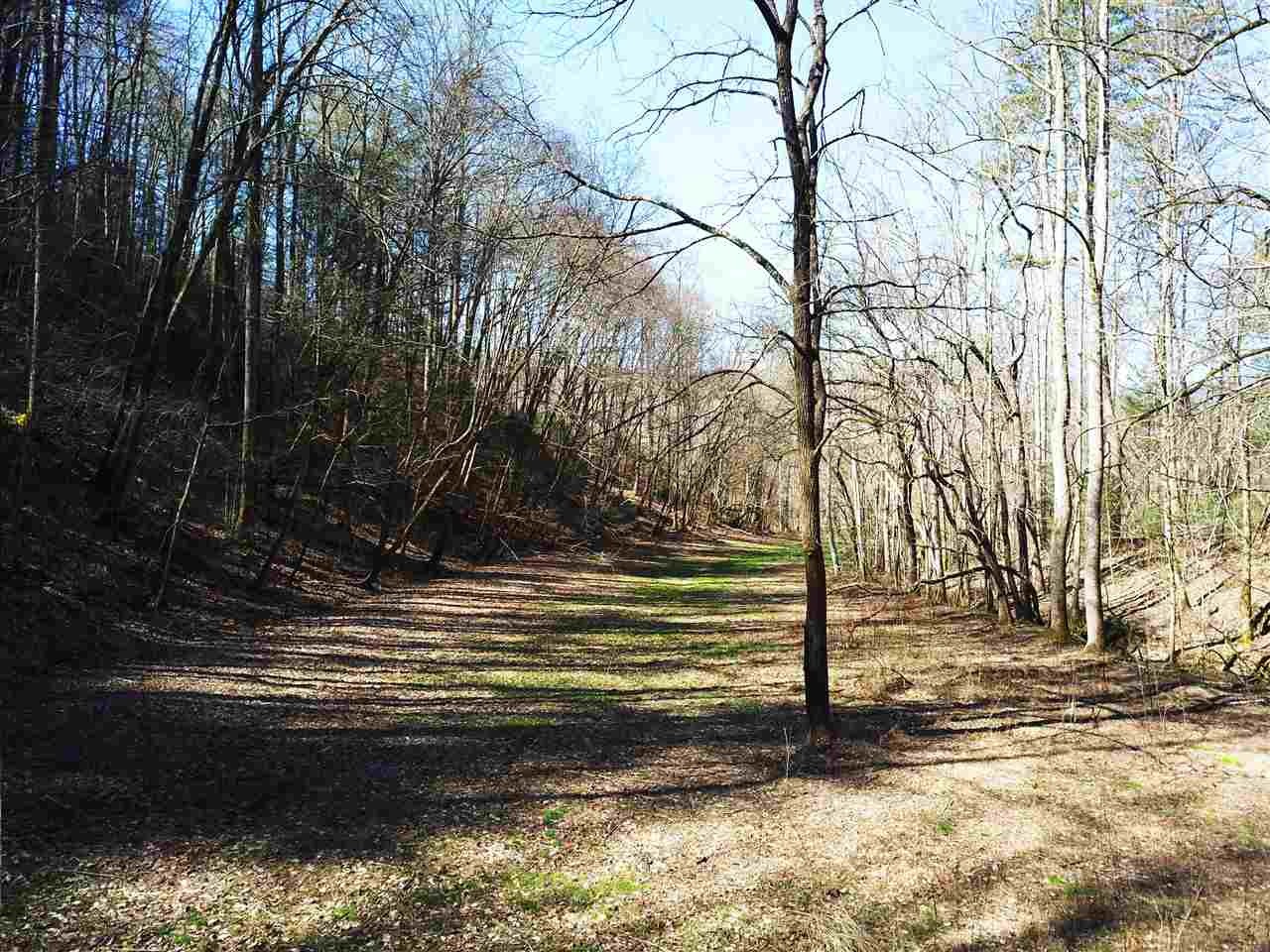 0 Towee Pike Reliance, TN 37369 - Photo 18 of 41