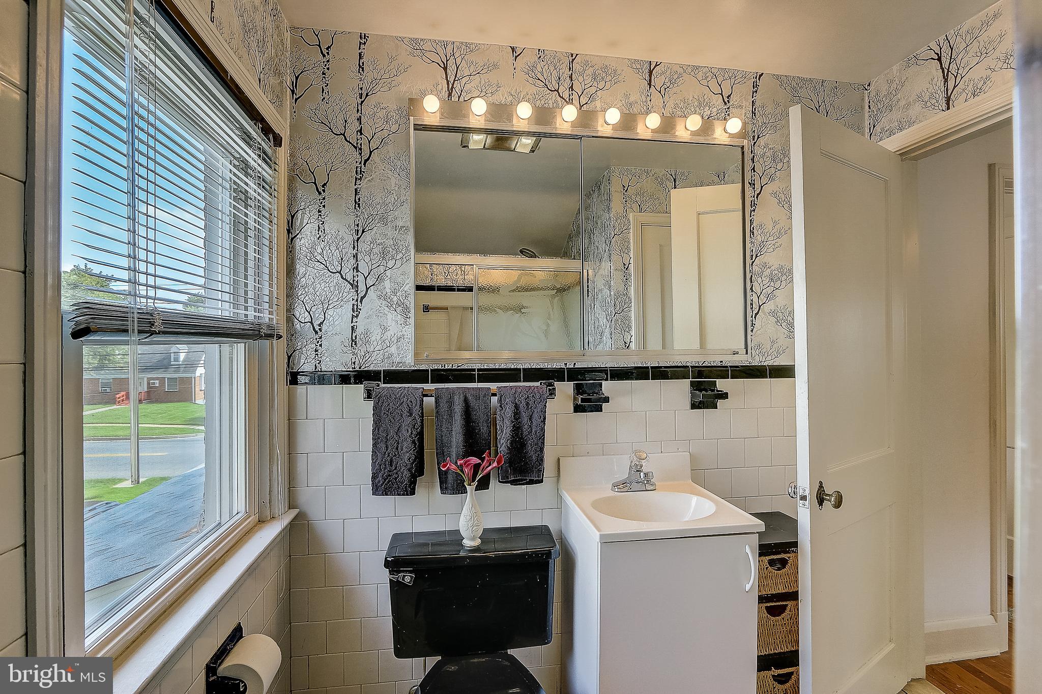 828 Milford Mill Road Baltimore, MD 21208 - Photo 35 of 52