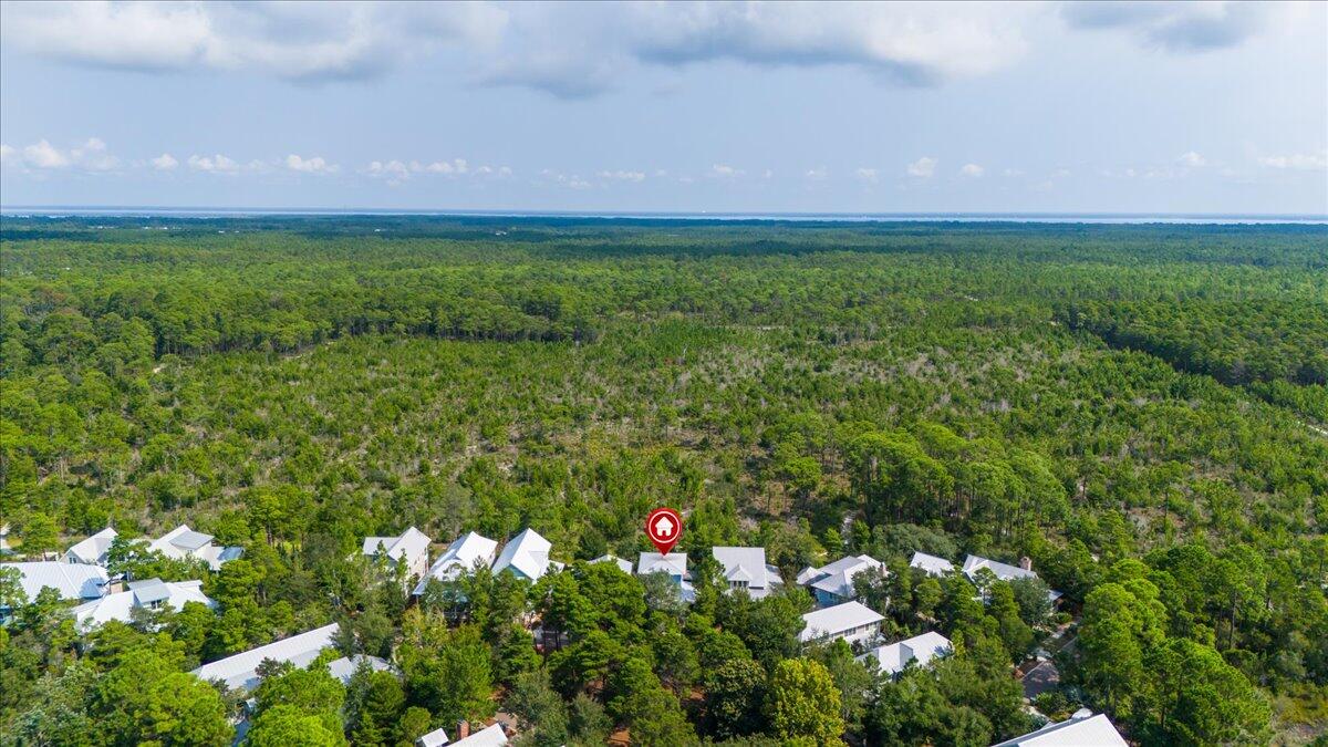 97 Nickajack North Santa Rosa Beach, FL 32459 - Photo 4 of 63 Backs to State Forest