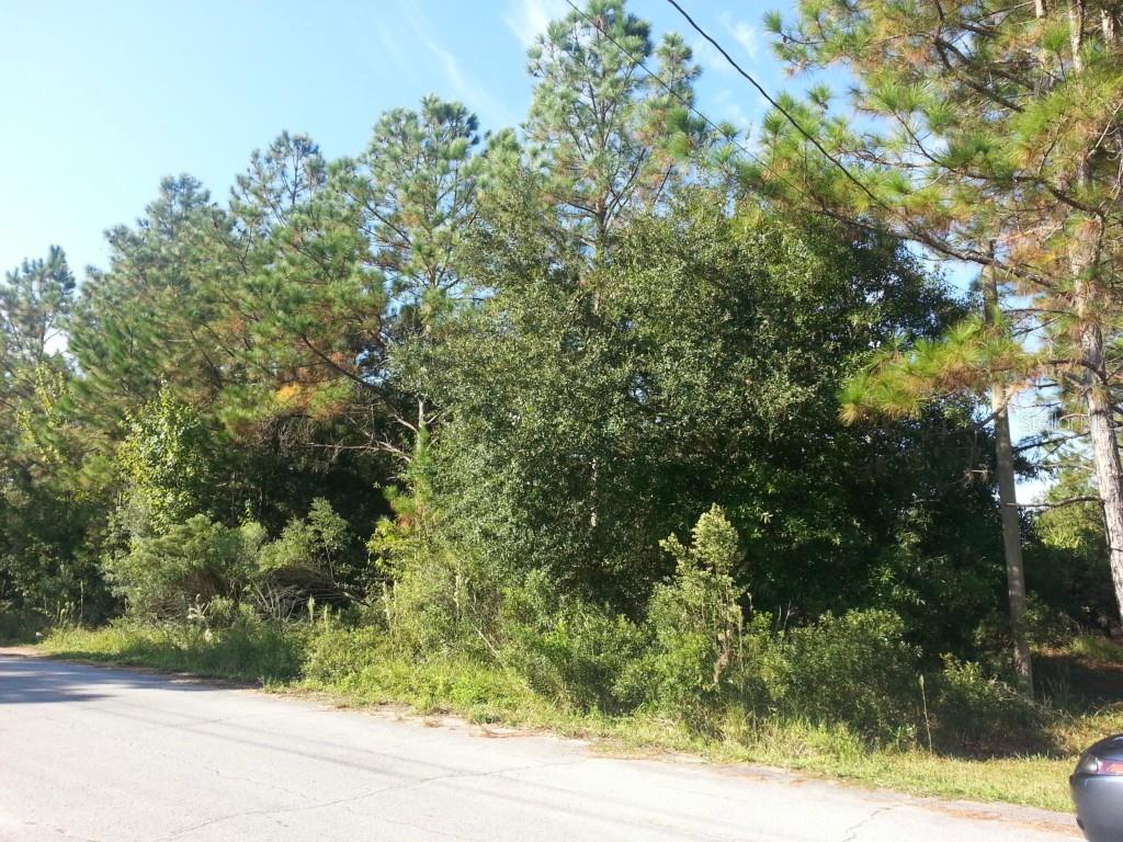 Haystack Road Zephyrhills, FL 33543 - Photo 1 of 1 Gallery Image 1