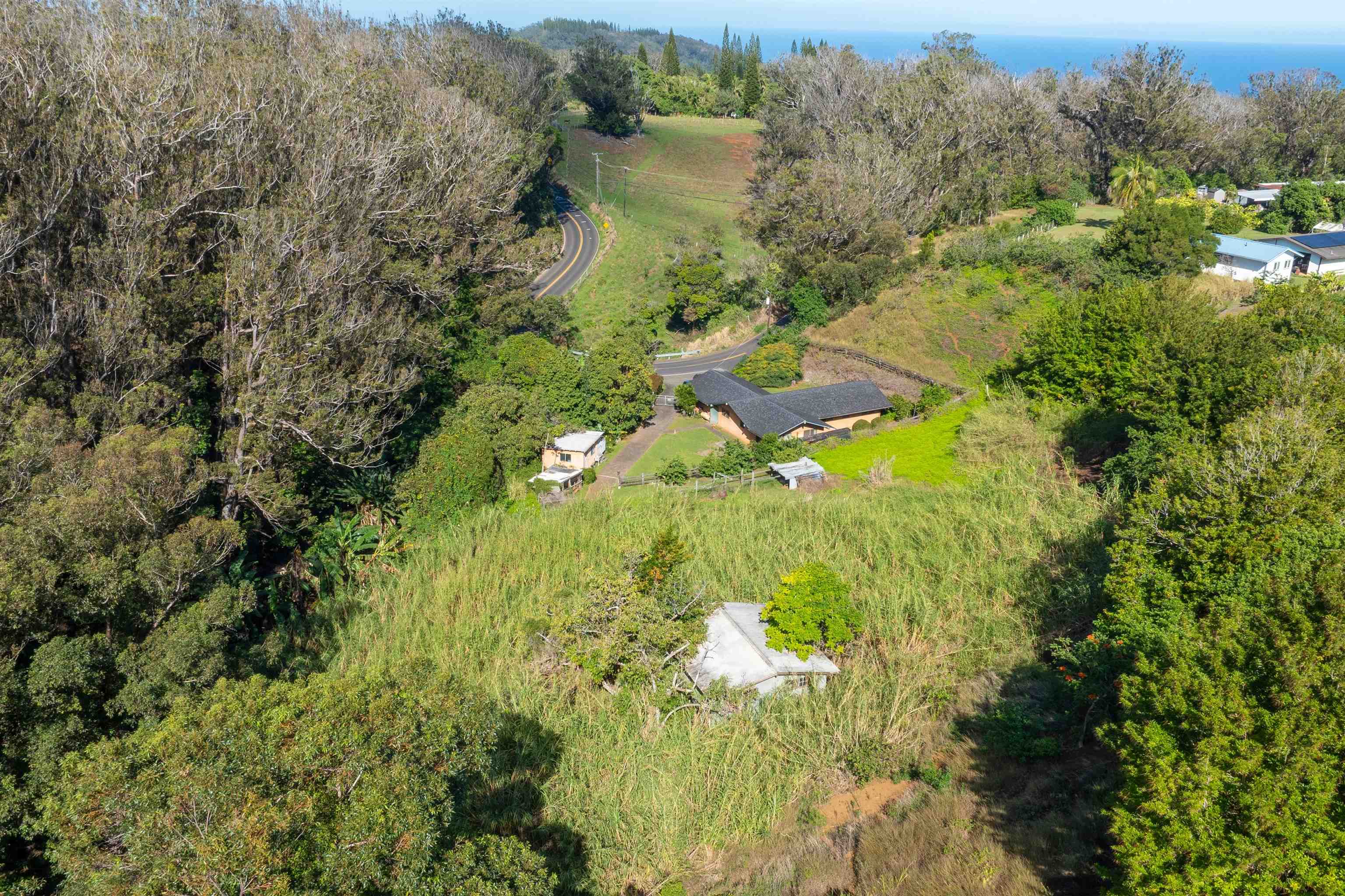 2475 Kaupakalua Road Haiku, HI 96708 - Photo 17 of 28 a aerial view of residential houses with outdoor space and trees