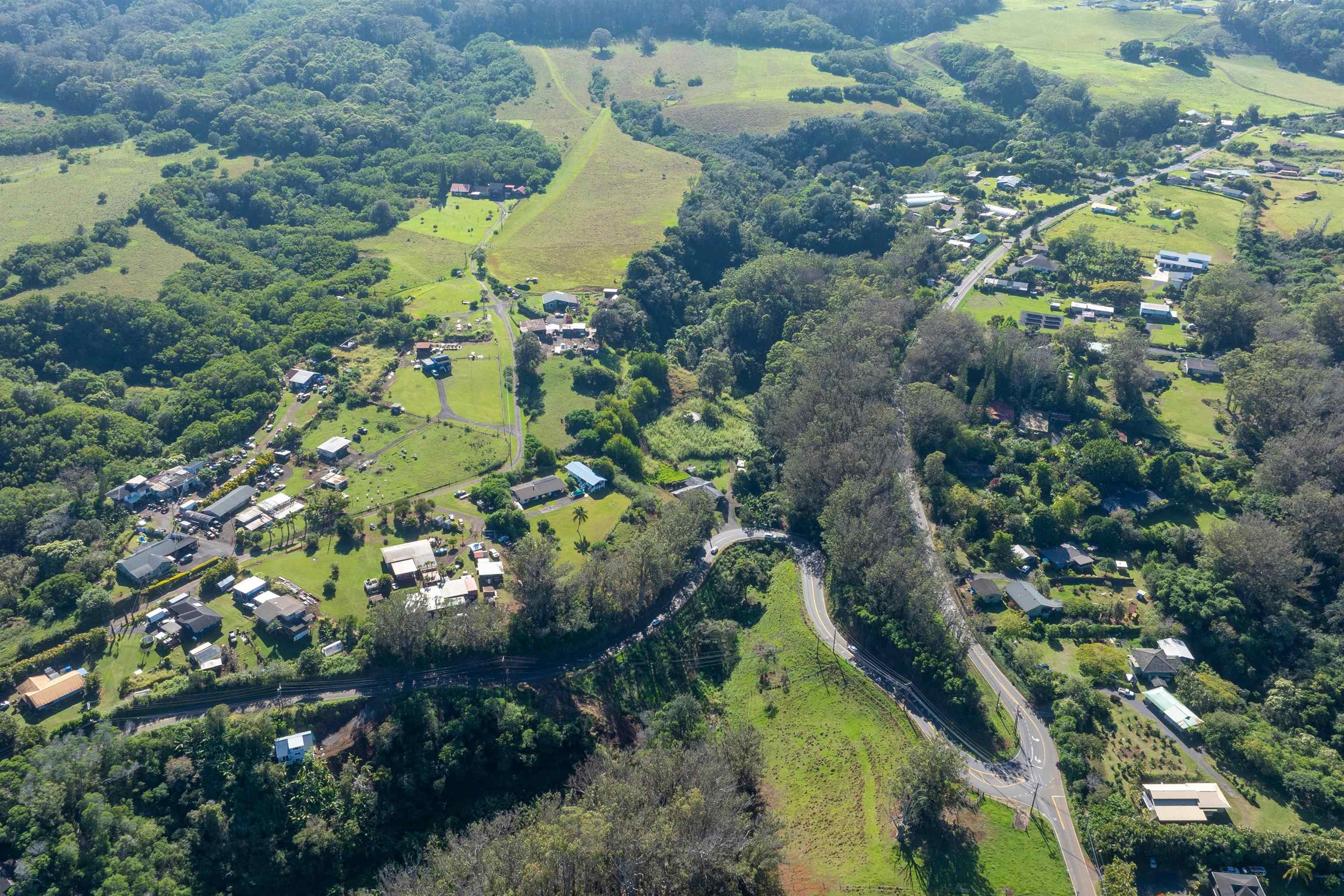 2475 Kaupakalua Road Haiku, HI 96708 - Photo 24 of 28 a bird view of a garden