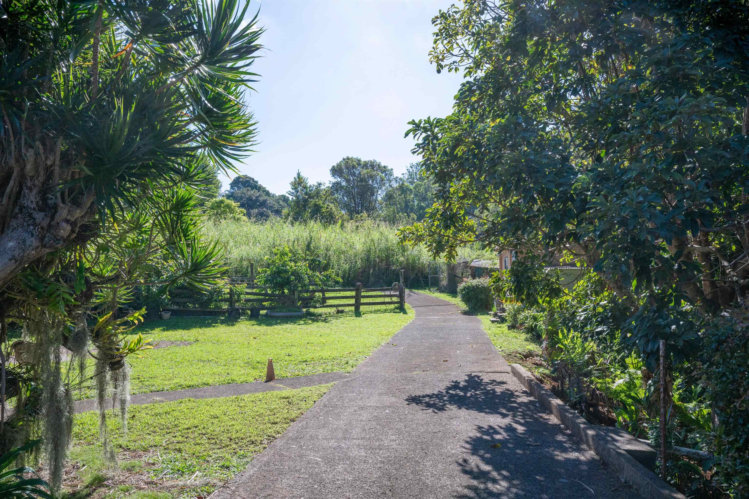 2475 Kaupakalua Road Haiku, HI 96708 - Photo 5 of 28 a view of a park with large trees