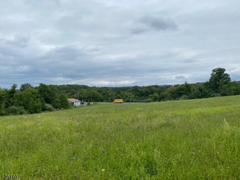 0 Route 23 Pond School Road Sussex, NJ 07461 - Photo 4 of 7 a view of a green field with lots of green space