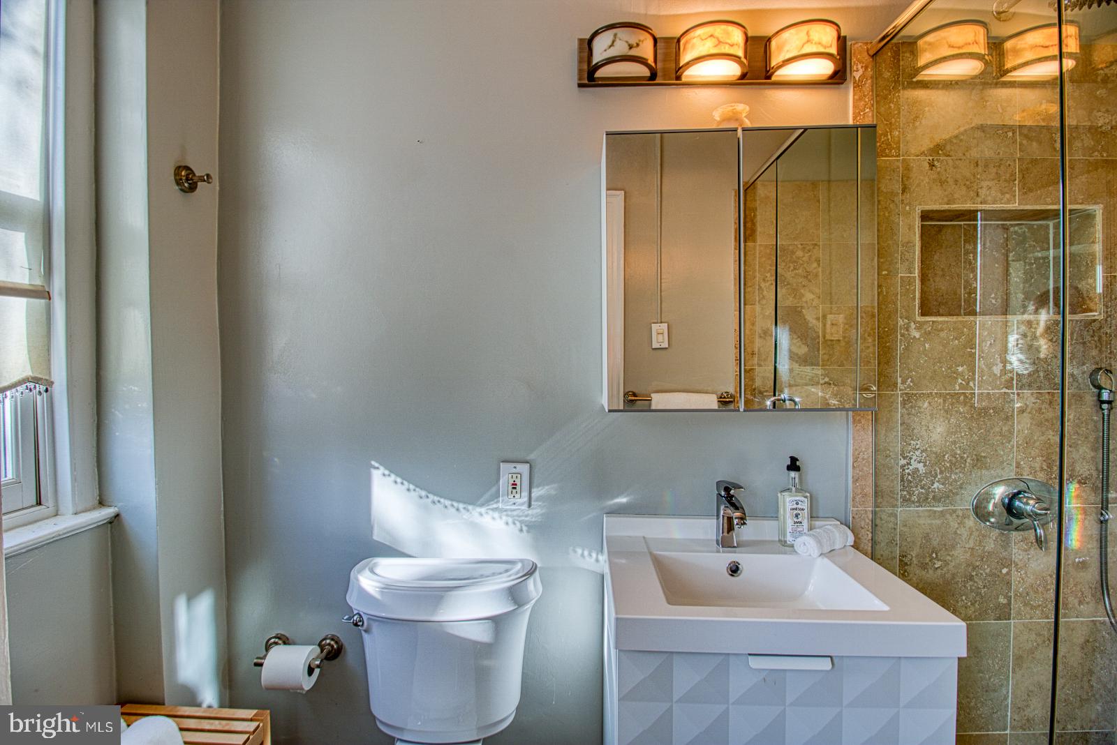 2456 20th Street Northwest, Unit 306 Washington, DC 20009 - Photo 25 of 35 Gorgeous bathrooms!