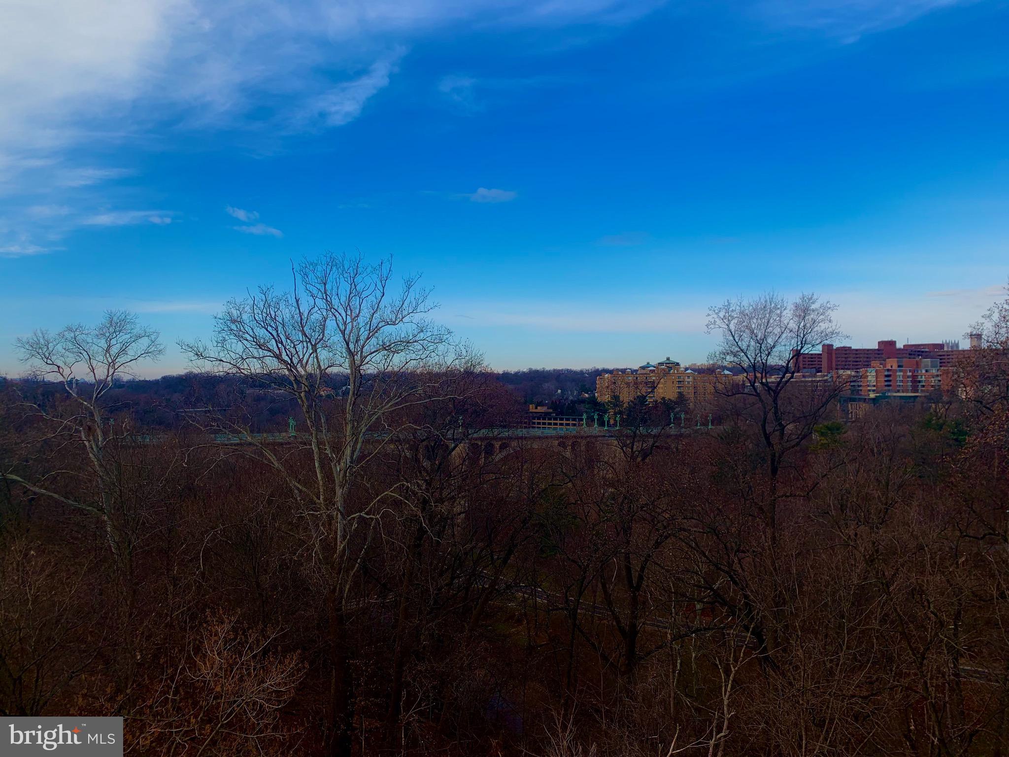 2456 20th Street Northwest, Unit 306 Washington, DC 20009 - Photo 32 of 35 Entertain overlooking stunning Rock Creek Park.
