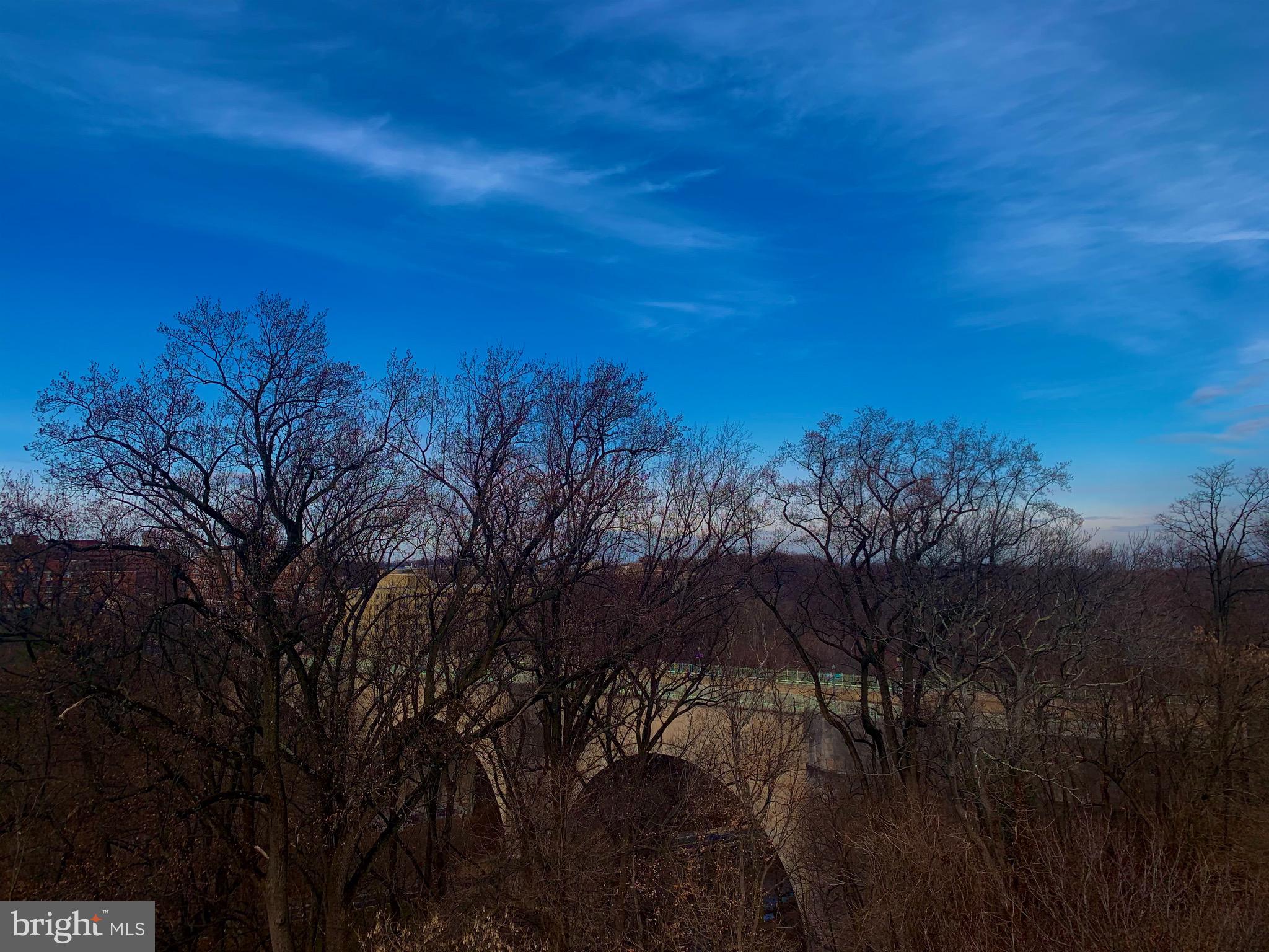 2456 20th Street Northwest, Unit 306 Washington, DC 20009 - Photo 33 of 35 Your roof terrace will never disappoint.