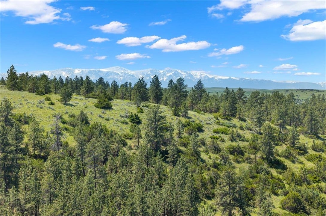 23 Beartooth Lane Columbus, MT 59019 - Photo 1 of 29 Gallery Image 1