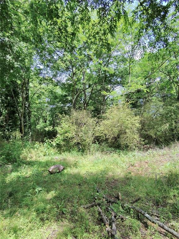 479 Sandtown Road Southeast Cartersville, GA 30121 - Photo 20 of 20 a view of a lush green forest