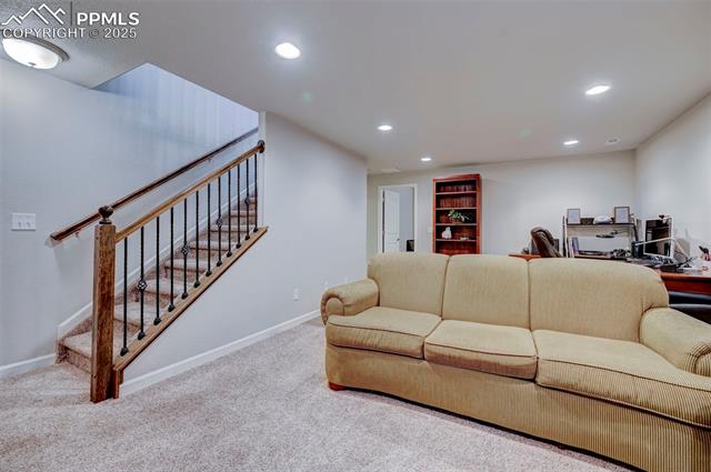 11307 Rill Point Colorado Springs, CO 80921 - Photo 15 of 22