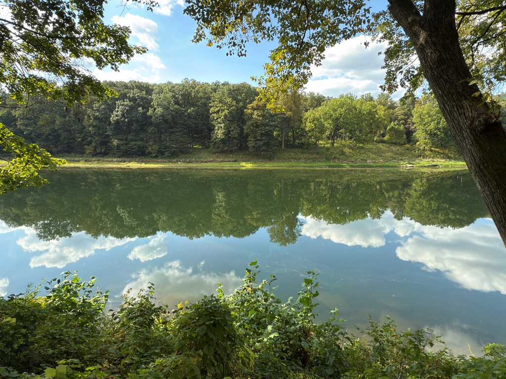 876 North Tunnel Road Kennerdell, PA 16374 - Photo 8 of 43 a view of a lake from a yard