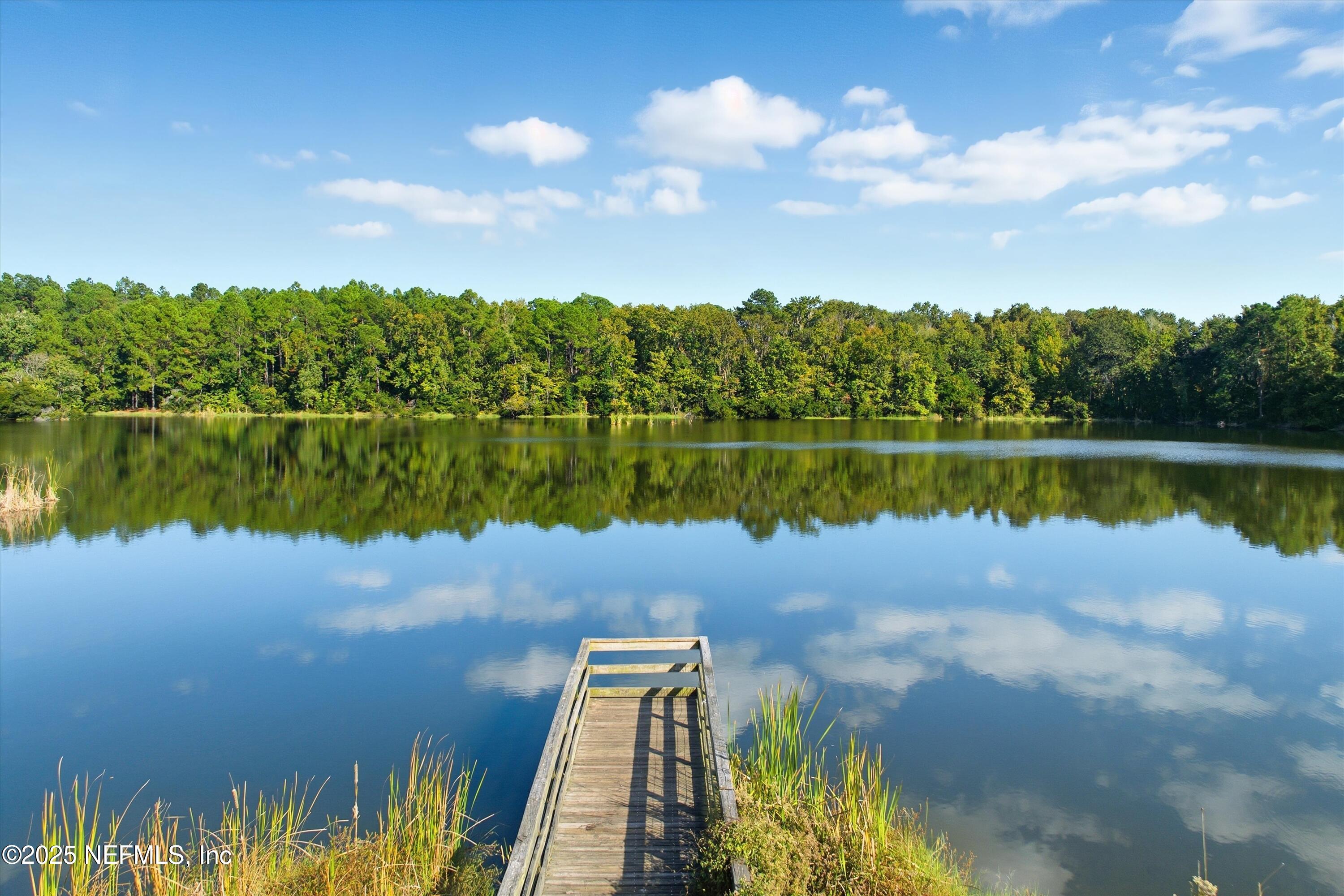 3884 Hammock Bluff Drive Jacksonville, FL 32226 - Photo 31 of 34 a view of a lake in between two tall trees
