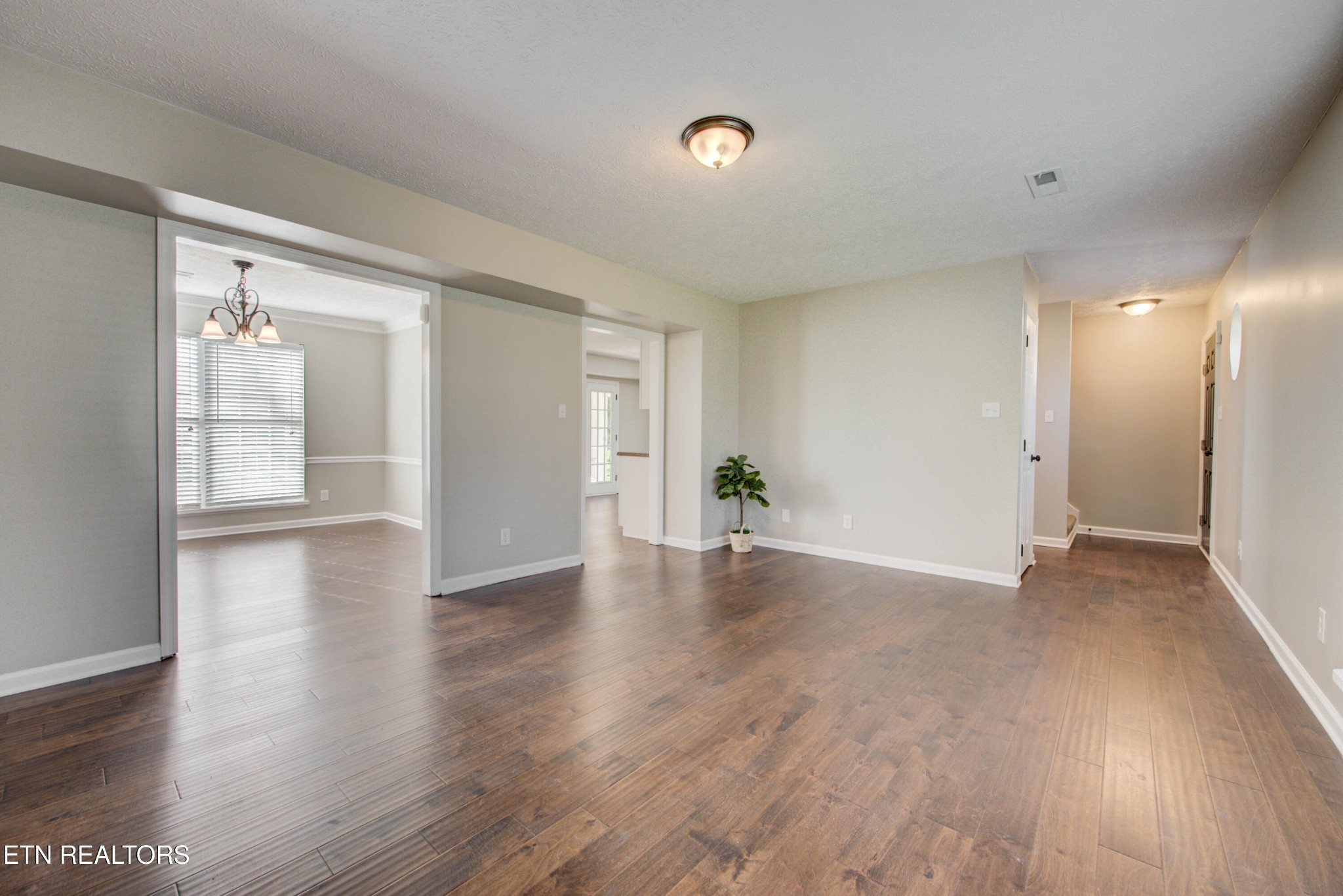 4004 Abercorn Road Knoxville, TN 37921 - Photo 7 of 30 Gallery Image 7