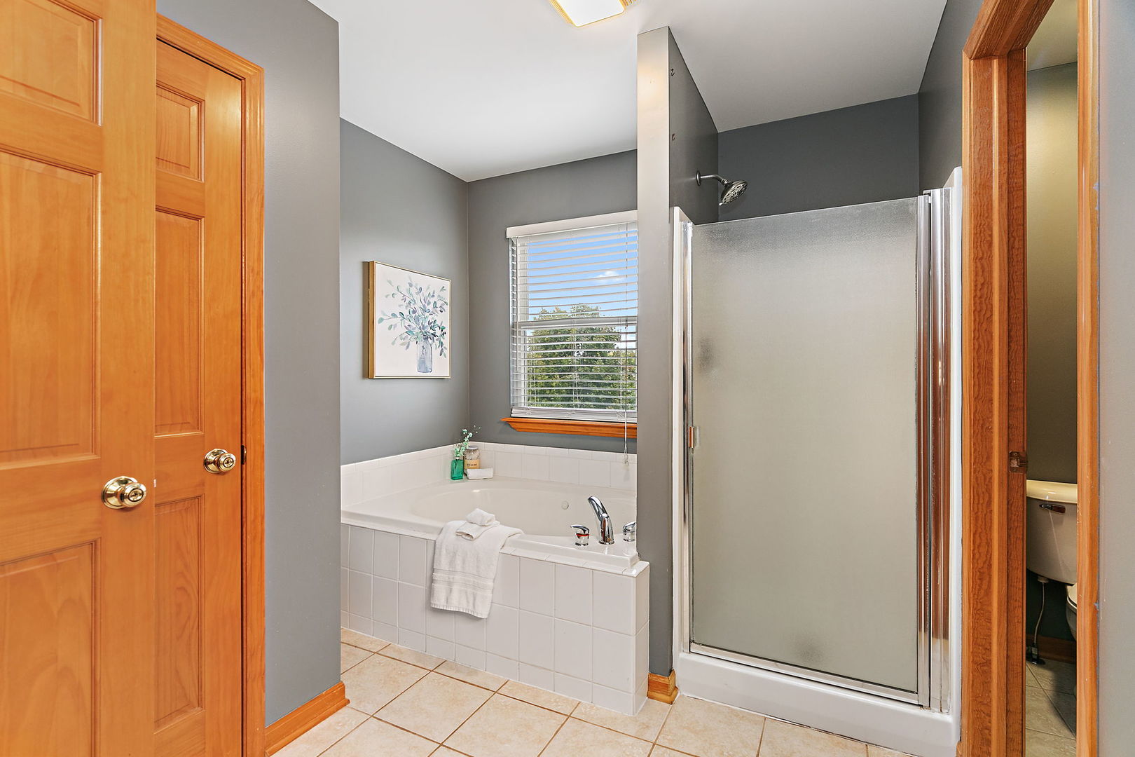 685 Persimmon Street DeKalb, IL 60115 - Photo 23 of 38 a view of bathroom with bathtub and window
