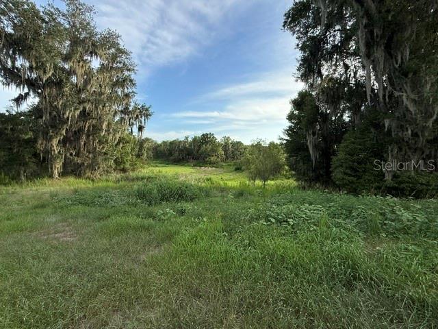 Pool Branch Road Fort Meade, FL 33841 - Photo 5 of 15 a view of a lush green space
