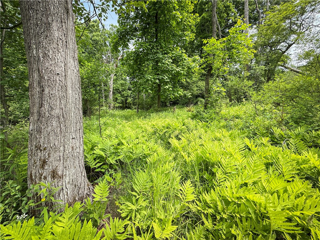 5401 Old Bath Road Barrington, NY 14837 - Photo 27 of 50