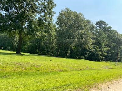 0 Green Road Dothan, AL 36303 - Photo 2 of 6