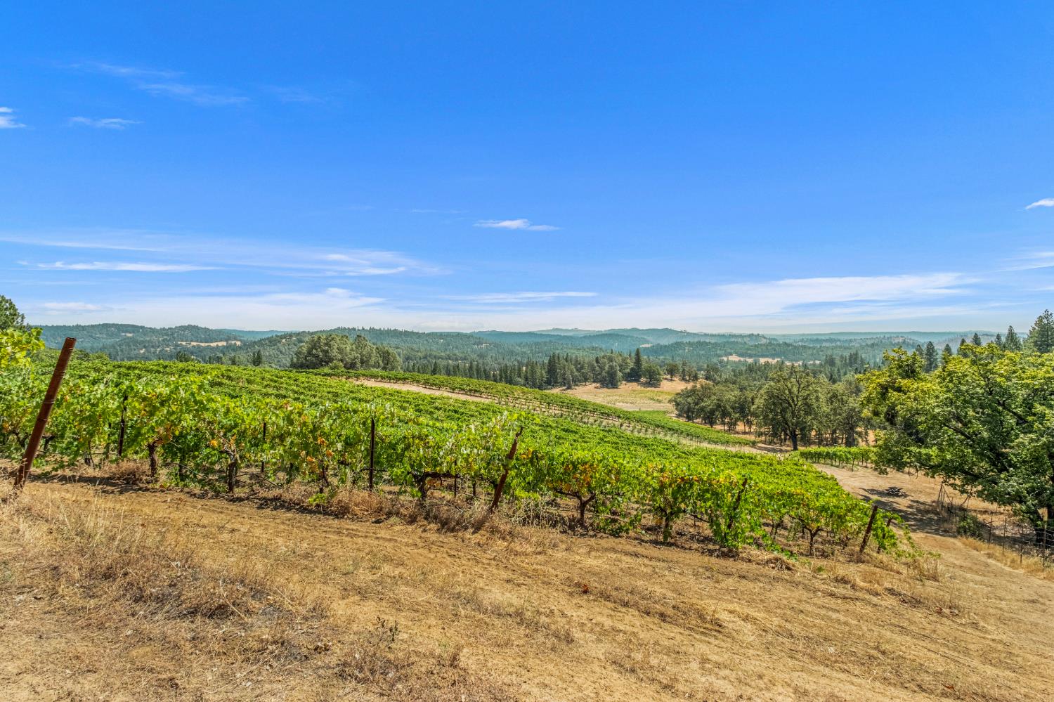 4180 Pleasant Valley Road Placerville, CA 95667 - Photo 8 of 61 Gallery Image 8