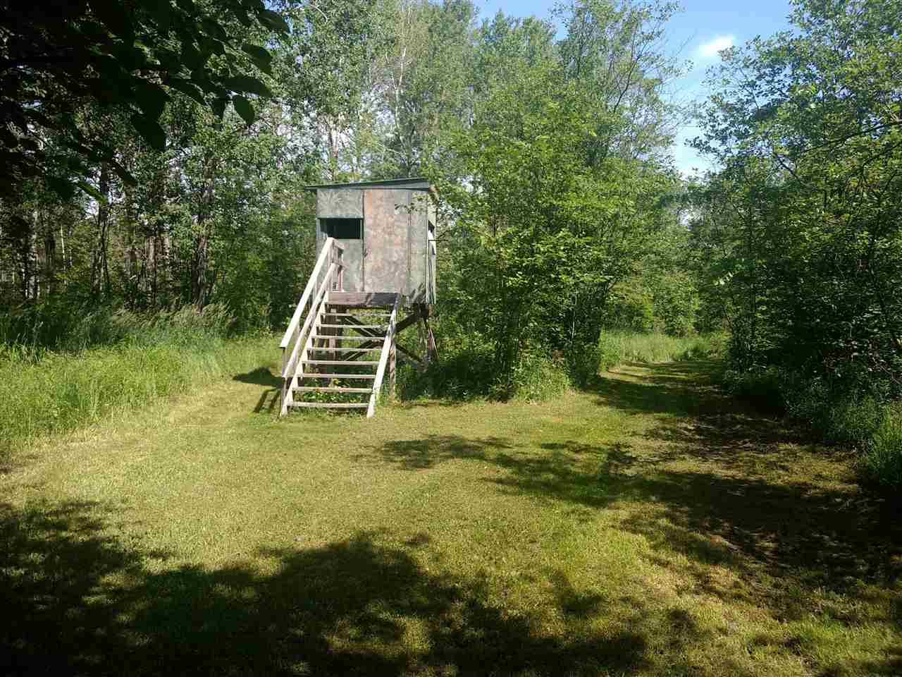 270 North Crawford Road Twining, MI 48766 - Photo 14 of 46 1877414-13.JPG