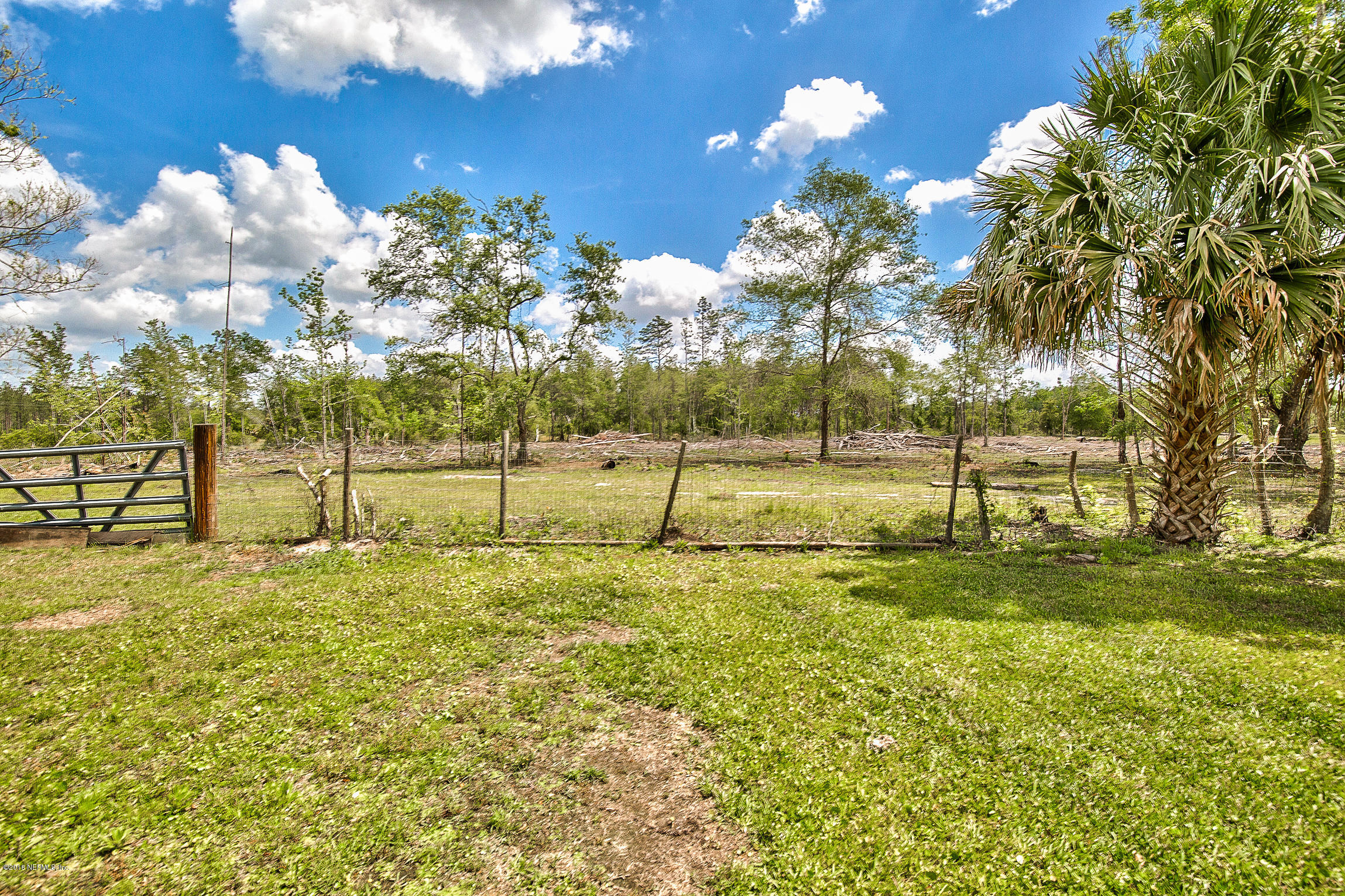 373715 Kings Ferry Road Hilliard, FL 32046 - Photo 50 of 84 Additional Pasture Land