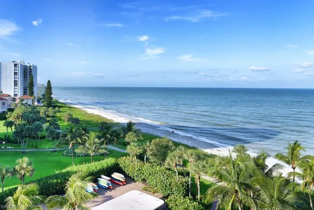 a view of a backyard with plants and a garden