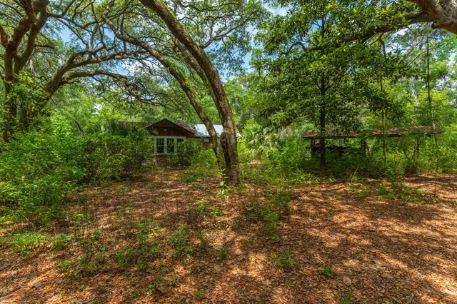 a house that has a tree in front of it