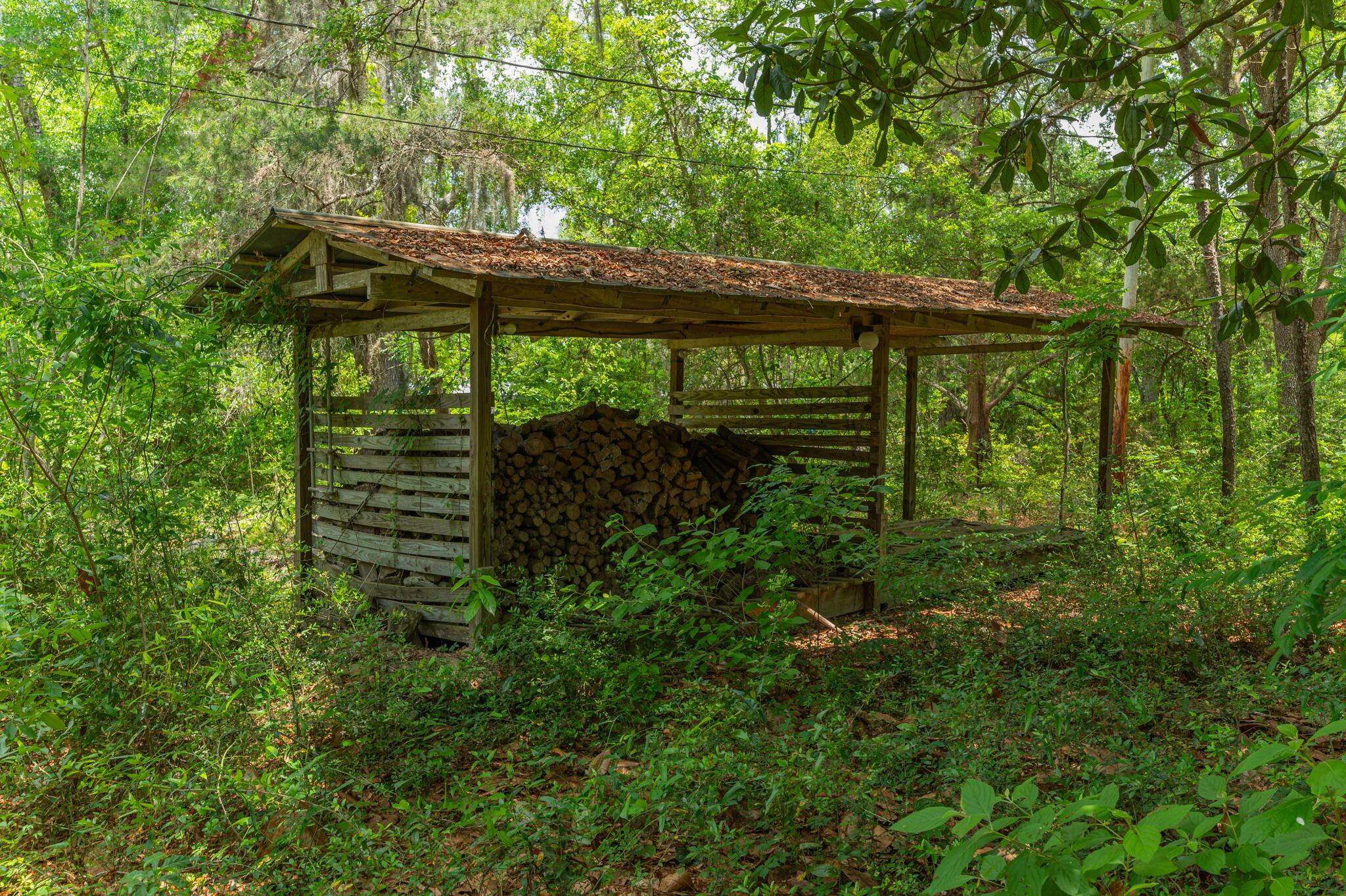 19494 Highway 331 Freeport, FL 32439 - Photo 17 of 36 a backyard of a house with lots of green space and garden