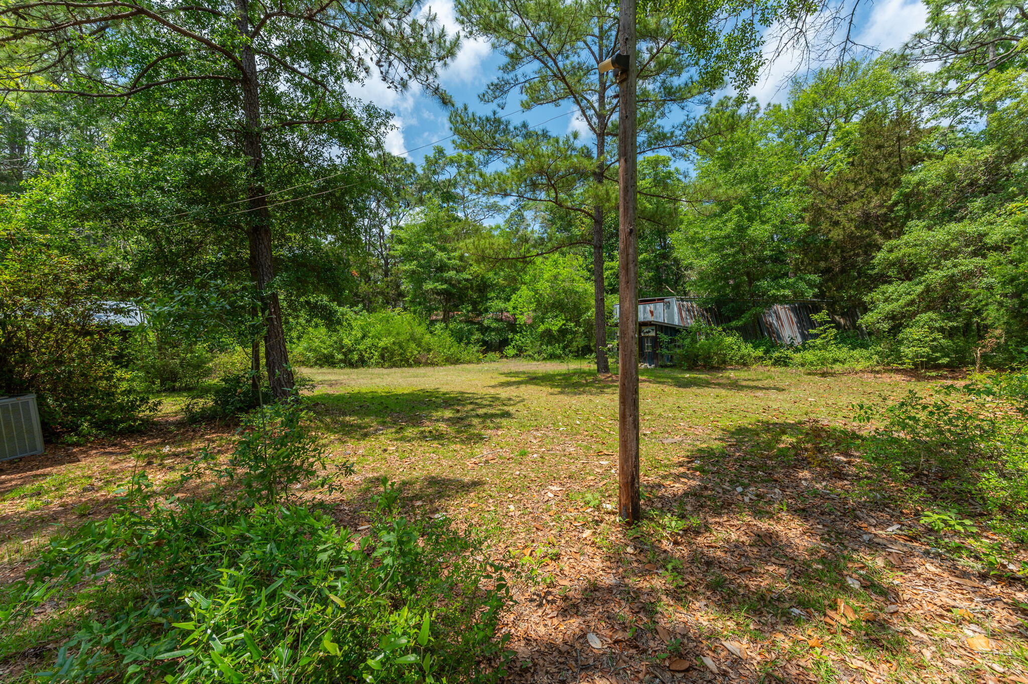 19494 Highway 331 Freeport, FL 32439 - Photo 20 of 36 a view of a tree in a yard